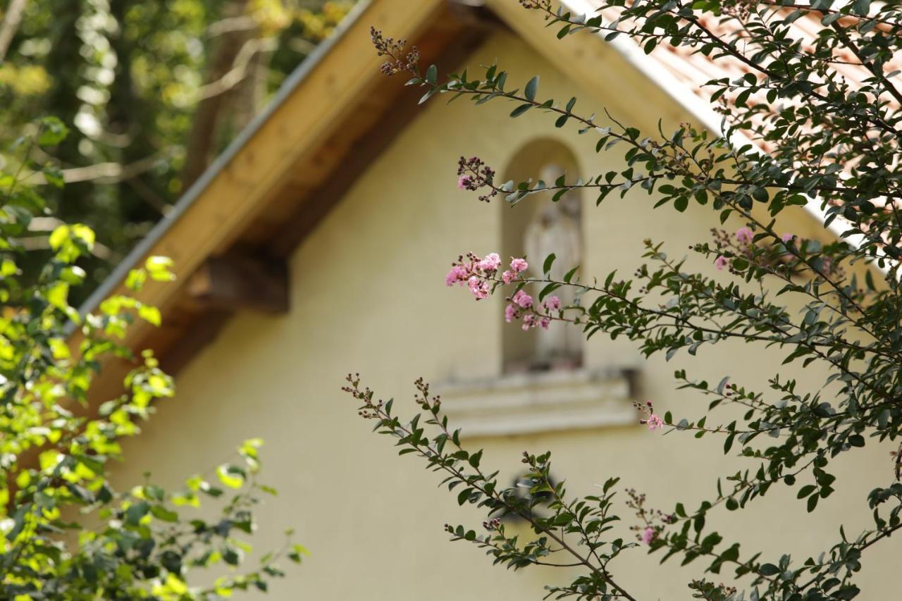 Chateau Saint Martin B&B Pouillon Exterior photo